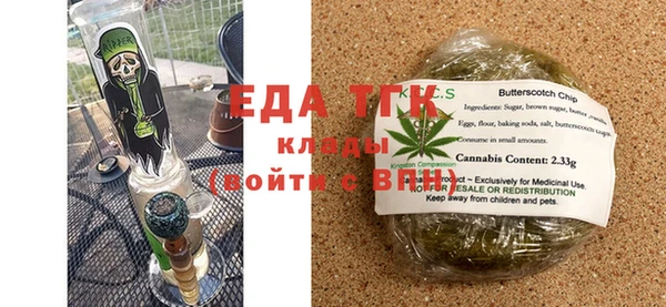 индика Сатка
