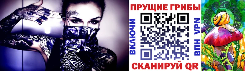 Псилоцибиновые грибы мухоморы  где можно купить   Тында 